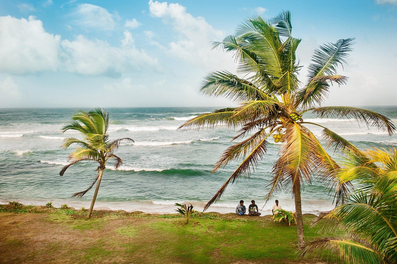 நாகர்கோவிலில் புல்லரிக்கும் வலை திருவிழா: உலகத்தில் காணாத திருவிழா